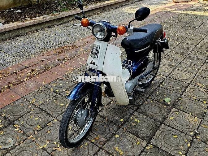Honda Cup 81 1993 Xanh Cửu Long