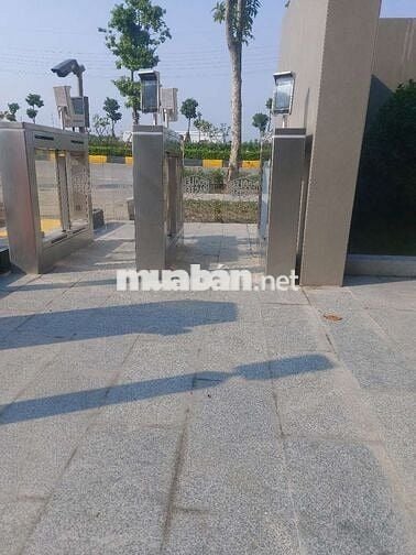 mua xe côn hoặc tay ga của dân