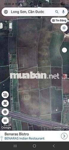 BÁN ĐẤT 1ha MẶT TIỀN TL 830B –Long An