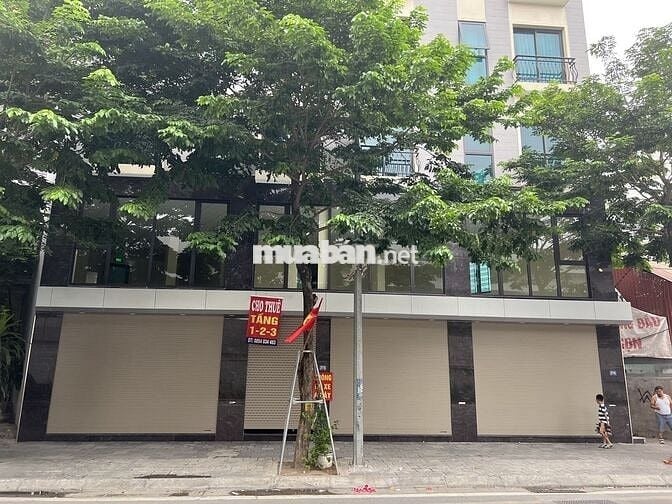 Cho thuê nhà 145m/ sàn.Tổng 3 sàn 435m