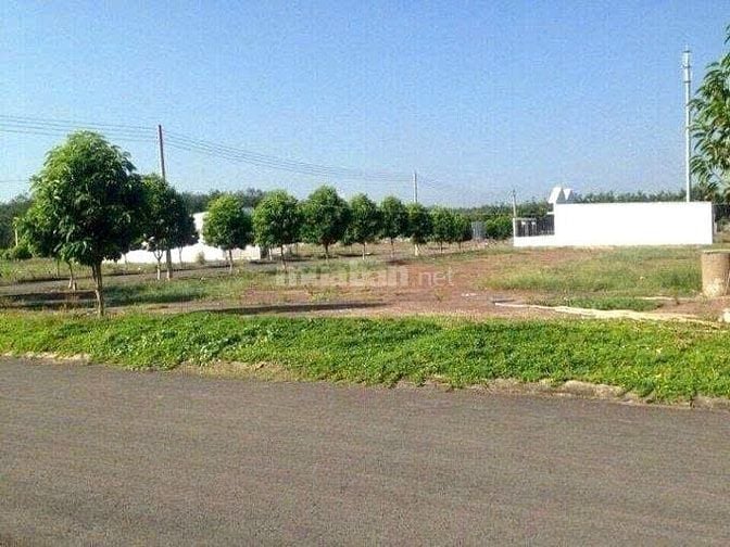 Cần tiền bán gấp 2008m2 đất SHR ngay KCN, nhà máy đang HĐ. Giá 170tr