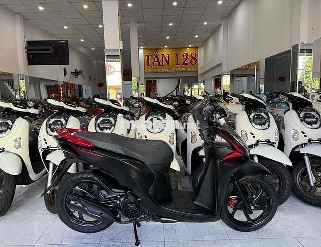 VISION 2019. BẢN ĐẶC BIỆT - Máy Zin Cực Êm