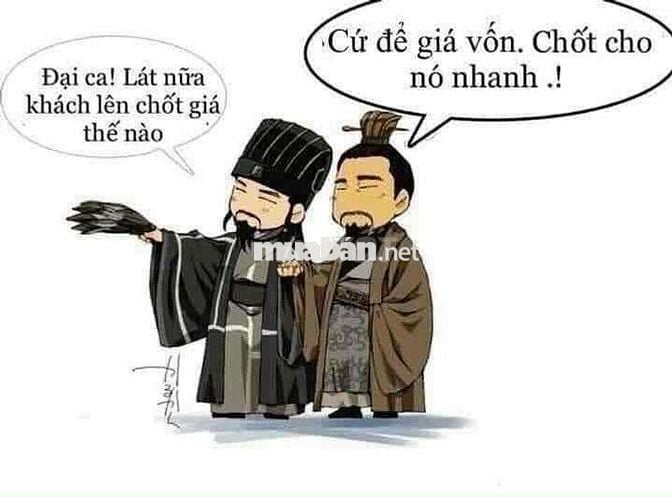 Bán Đất Mặt Ngõ Ô Tô Tránh Kinh Doanh – Phố Đội Cấn 48m² N