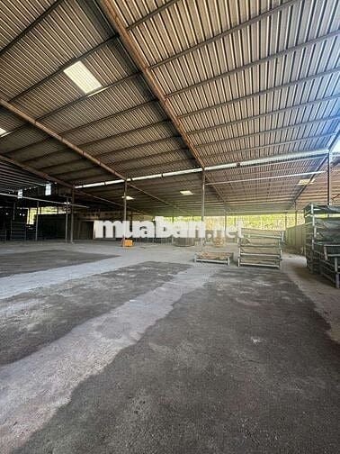 💥BÁN NHÀ XƯỞNG – PHƯỜNG TÂN UYÊN, BÌNH DƯƠNG (Sau sáp nhập TP.HCM)