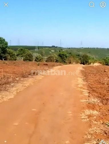 Cho thuê đất vườn DT lớn Giá rẻ ở Chư Pơng, Chư Sê