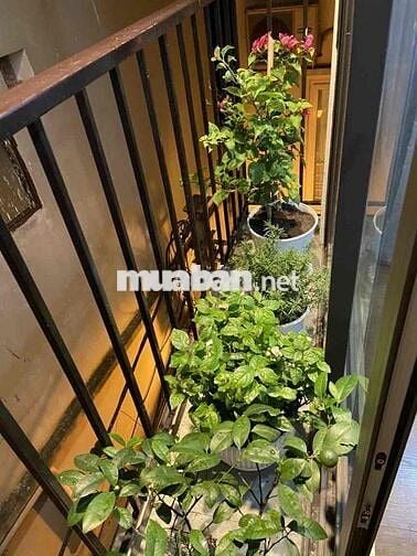 Căn studio rộng hơn 40m2 Tô Ngọc Vân - Tay Hồ