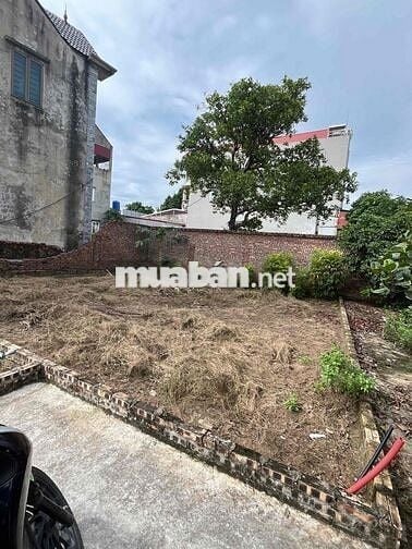 chính chủ cần bán dat đức hiệp , xuân lâm , bắc ninh .