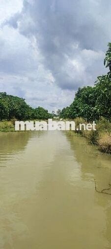 1 Ha đất nông nghiệp tại Nông trường Sông Hậu