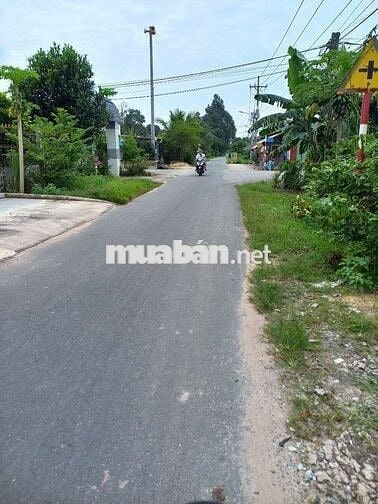 CC cần bán 650m2 mặt tiền đường nhựa lớn Trương Thị Kiện thông Thái Mỹ