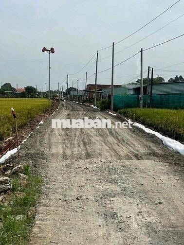 Đất thổ cư, MT đường Ng Thị Tầm, dt 150m2 thổ giá rẻ 550 triêu