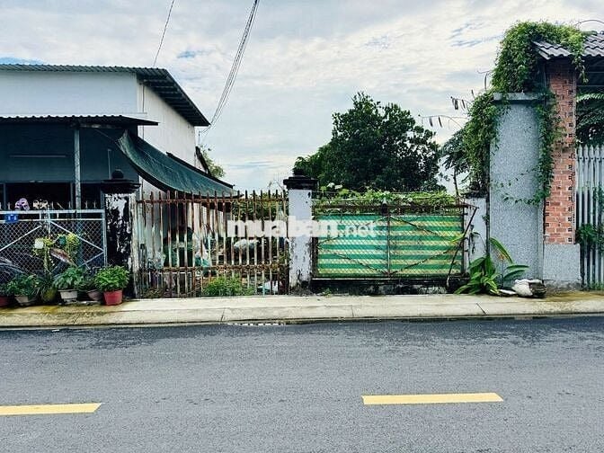 277M2 ĐẤT MẶT TIỀN THỊ TRẤN CỦ CHI - SHR CHỈ 1,95 TỶ