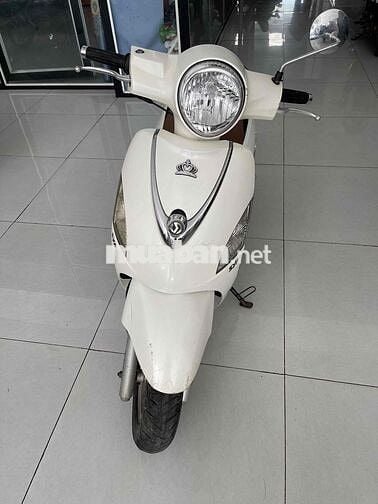 SYM Elizabeth Trắng