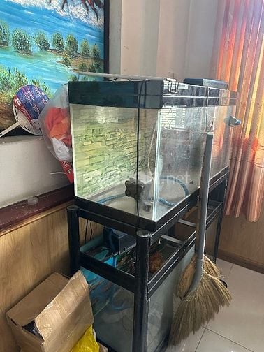 Cho hồ cá cảnh 2 tầng đã qua sử dụng