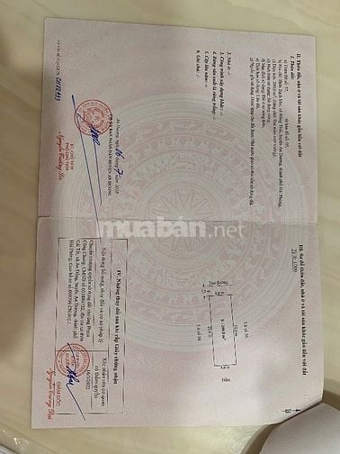 Chính chủ bán nhanh nhà biệt thự sân vườn đẹp