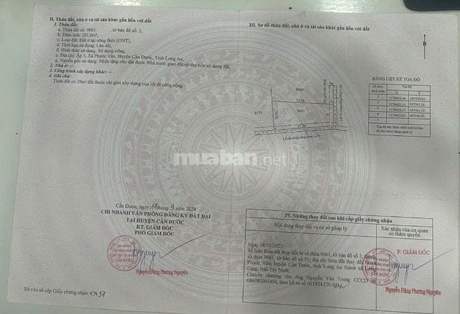 Cần tiền bán gấp lô đất 2 mặt tiền tại xã Phước Vân, Cần Đước, Long An