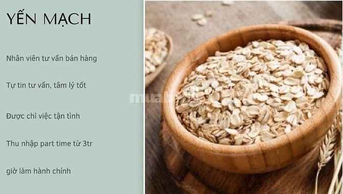 Việc Làm Part Time/ Full time tại TPHCM 