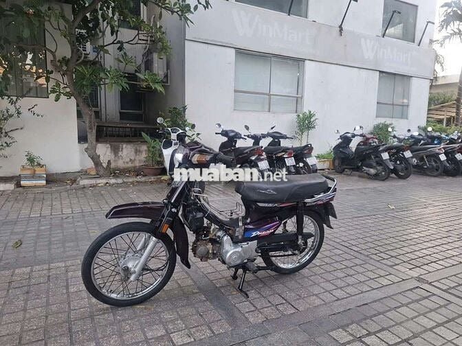 Xe dream Hàn Quốc