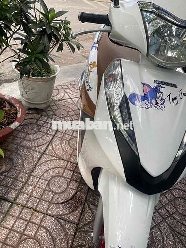 Honda Lead màu Trắng Đã sử dụng