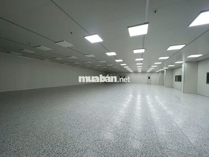 Cho Thuê 1.300m2 Nhà Xưởng Mới Trong KCN Mỹ Phước Bến Cát Bình Dương