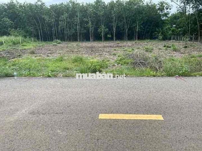 Cần tiền bán rẻ lô đất 500m2 420tr Trừ Văn Thố-Bàu Bàng sổ sẵn