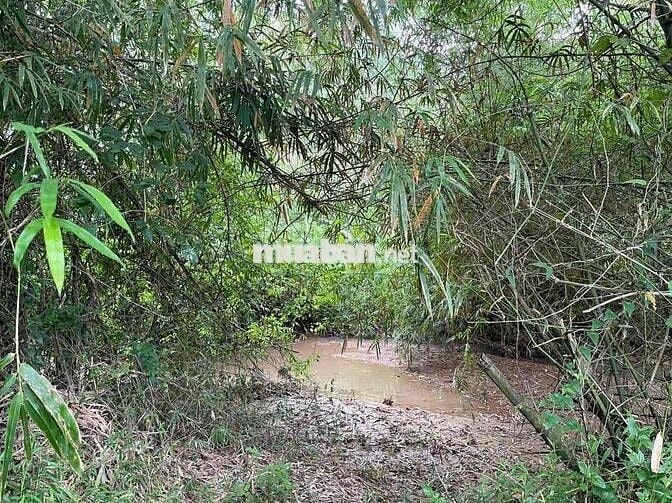 180 TRIỆU – 2 SỔ ĐỎ – 2.700m² GIÁP SUỐI PHÚ YÊN