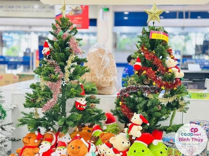Cần Tuyền Nhân Viên Bán Hàng Dịp Noel, Tết đi làm ngay