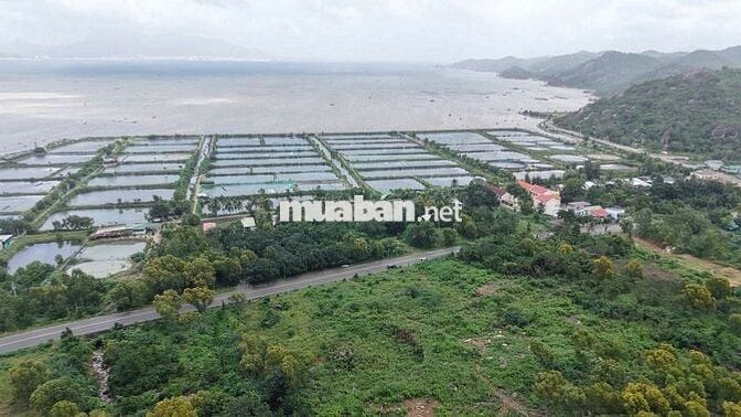 CHỦ KẸT VỐN CẦN BÁN GẤP ĐẤT MẶT TIỀN VEN BIỂN HIỆP KIẾT BÌNH TIÊN