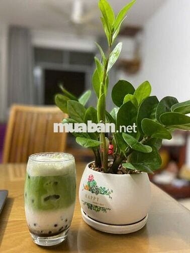 Căn hộ 71m2 2PN Opal Riverside Thủ Đức ngay TTTM Gigamall