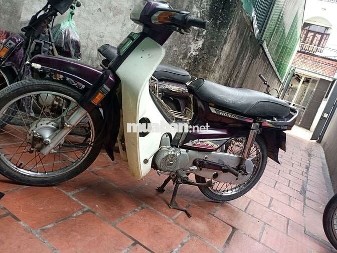 Honda Dream II Tím Trắng