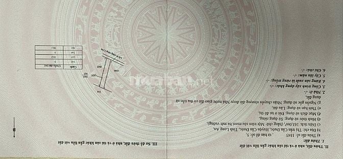 Chính chủ cần bán lô đất khu 2 thị trấn Cần Đước, Long An full đất ở đ