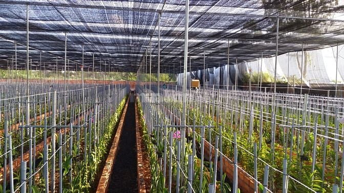 Bán đất nhà xưởng Long Hưng Thanh Đức Long Hồ Vĩnh Long