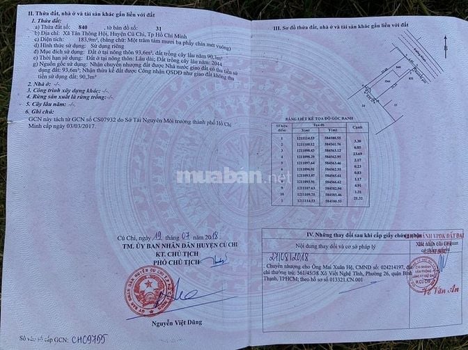 Bán đất xã Tân Thông Hội, Củ Chi, Giá 7 tỷ ( thương lượng ).