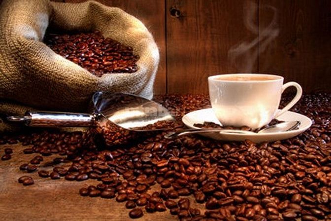 Nhà phân phối cafe, đại lý cafe chính gốc buôn ma thuột, cafe chồn tại hà nội 24730507 Nhà phân phối cafe, đại lý cafe chính gốc buôn ma thuột, cafe chồn tại hà nội