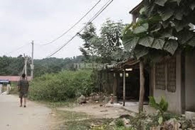 Đinh Tự bán khu đất đường Thoại Ngọc Hầu S = 5000m2 30708524 Đinh Tự bán khu đất đường Thoại Ngọc Hầu S = 5000m2