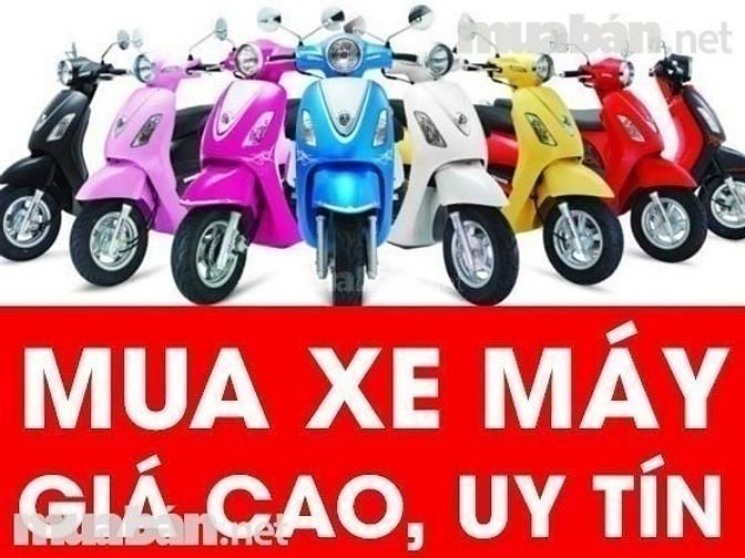 Chuyên mua giá cao các loại xe máy cũ, xe ga nhập khẩu, xe ga+xe số 32970916 Chuyên mua giá cao các loại xe máy cũ, xe ga nhập khẩu, xe ga+xe số