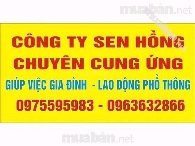 Công ty Sen Hồng chuyên cung ứng 34930000 Công ty Sen Hồng chuyên cung ứng