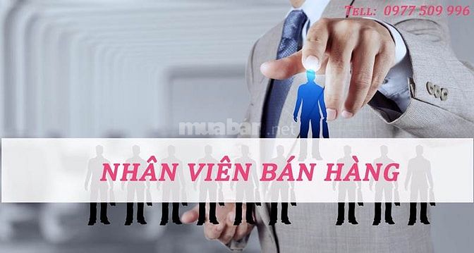Nam/nữ tìm việc bán hàng tại Hà Nội (Có nhiều năm kinh nghiệm) 35644061 Nam/nữ tìm việc bán hàng tại Hà Nội (Có nhiều năm kinh nghiệm)