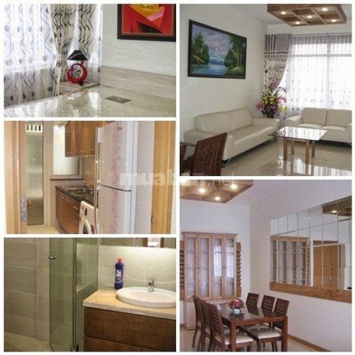 Chính chủ cho thuê CC Mini Cổ Nhuế, Từ Liêm, Hà nội 36241236 Chính chủ cho thuê CC Mini Cổ Nhuế, Từ Liêm, Hà nội