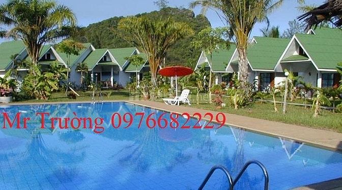 Bán tấm lợp sinh thái chất lượng cao 36310429 Bán tấm lợp sinh thái chất lượng cao