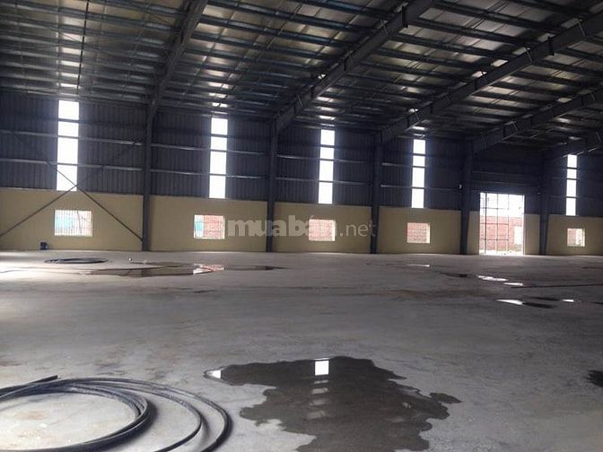 Cho thuê kho xưởng DT 3000m3,7000m2 Văn Lâm Hưng Yên 36662835 Cho thuê kho xưởng DT 3000m3,7000m2 Văn Lâm Hưng Yên
