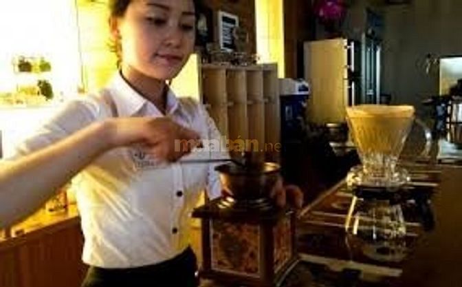 Quán Cafe sân vườn nhà hàng cần tuyển nhân viên nữ phục vụ 38159537 Quán Cafe sân vườn nhà hàng cần tuyển nhân viên nữ phục vụ
