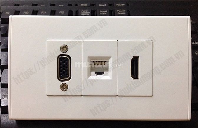 Bán Mặt ốp tường, Wall Plate Lan RJ45,RJ11, HDMI, VGA,TIVI,AV 38511988 Bán Mặt ốp tường, Wall Plate Lan RJ45,RJ11, HDMI, VGA,TIVI,AV