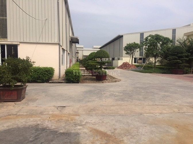 Cho thuê kho xưởng DT 1500m2 kcn Phố Nối A Văn Lâm Hưng Yên 38800302 Cho thuê kho xưởng DT 1500m2 kcn Phố Nối A Văn Lâm Hưng Yên