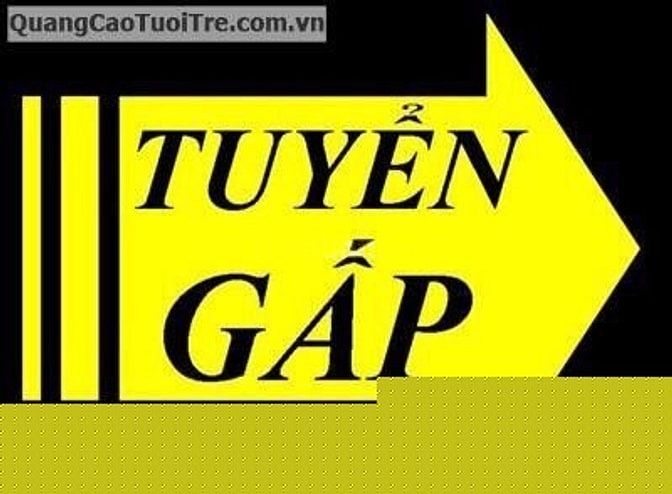 Cần tuyển gấp nhân viên văn phòng 38893510 Cần tuyển gấp nhân viên văn phòng