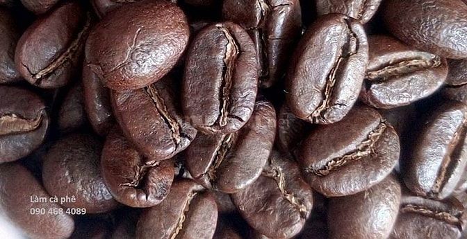 Cà phê hạt Arabica rang mộc cao cấp xuất khẩu 39291904 Cà phê hạt Arabica rang mộc cao cấp xuất khẩu