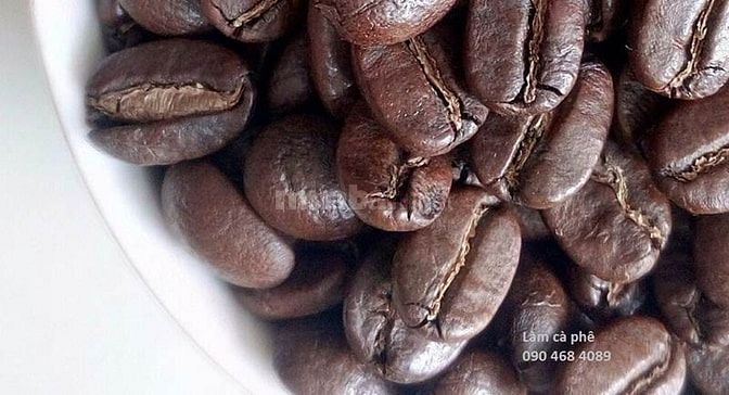 Cà phê hạt Arabica rang mộc cao cấp xuất khẩu 39291904 Cà phê hạt Arabica rang mộc cao cấp xuất khẩu