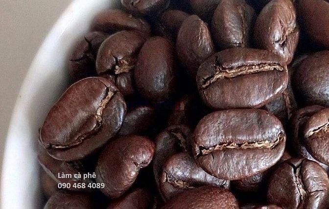 Cà phê hạt Arabica rang mộc cao cấp xuất khẩu 39291904 Cà phê hạt Arabica rang mộc cao cấp xuất khẩu