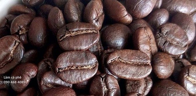 Cà phê hạt Arabica rang mộc cao cấp xuất khẩu 39291904 Cà phê hạt Arabica rang mộc cao cấp xuất khẩu