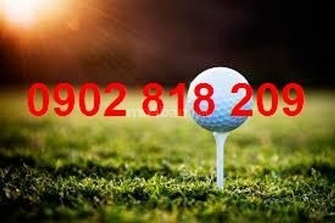 Banh golf nổi đánh ra hồ, bóng golf nổi