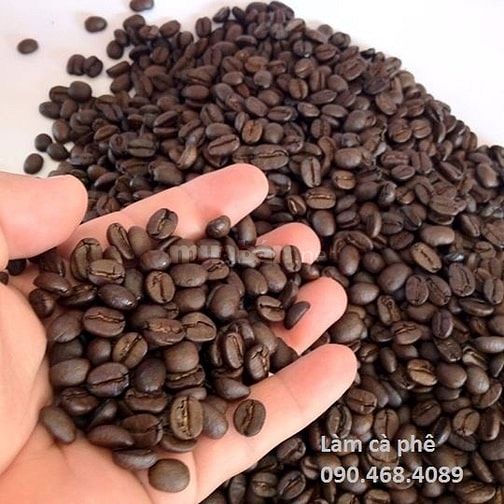 Cà phê ESPRESSO COMBO1 free ship Quận 1 39420965 Cà phê ESPRESSO COMBO1 free ship Quận 1